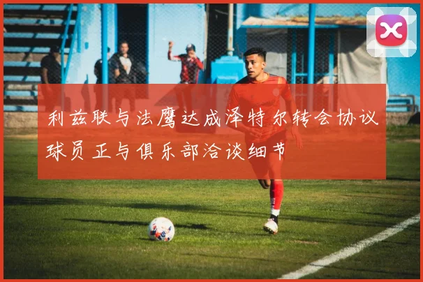 利兹联与法鹰达成泽特尔转会协议球员正与俱乐部洽谈细节